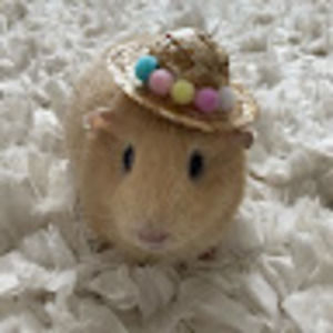 Meet your Posher, Evelyn